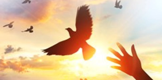 电子游戏平台app