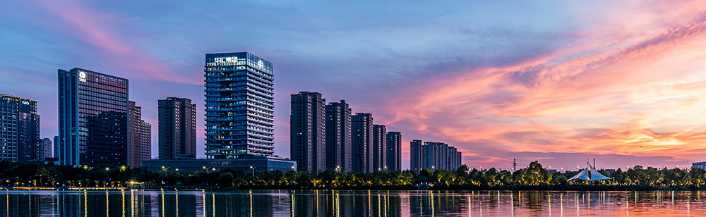 电子游戏平台app