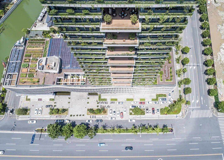 电子游戏平台app