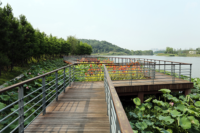 电子游戏平台app