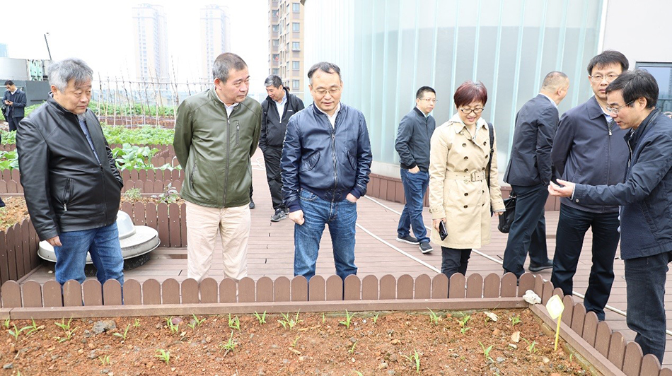 电子游戏平台app