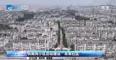 电子游戏平台app