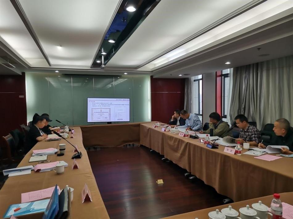 电子游戏平台app