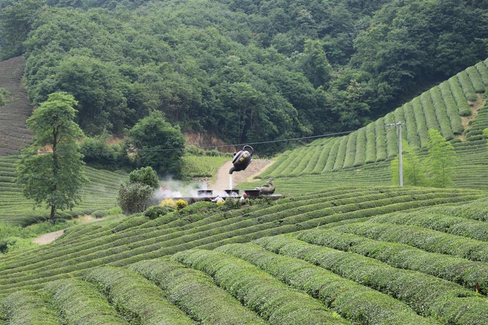 电子游戏平台app