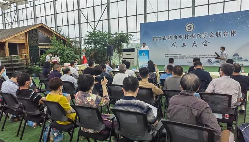 电子游戏平台app