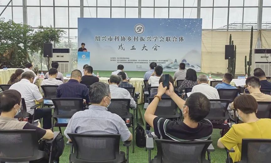 电子游戏平台app