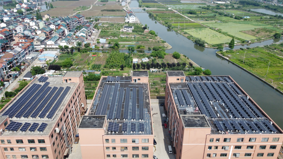 电子游戏平台app