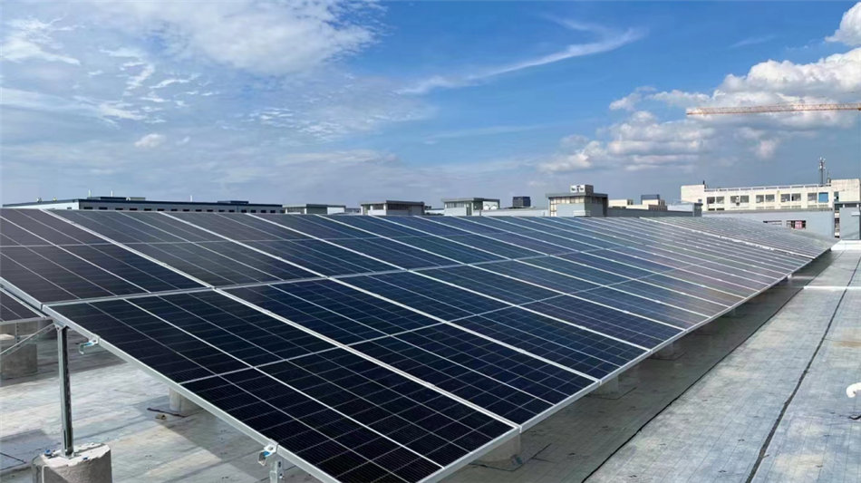 电子游戏平台app