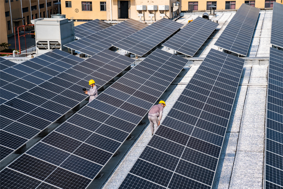 电子游戏平台app