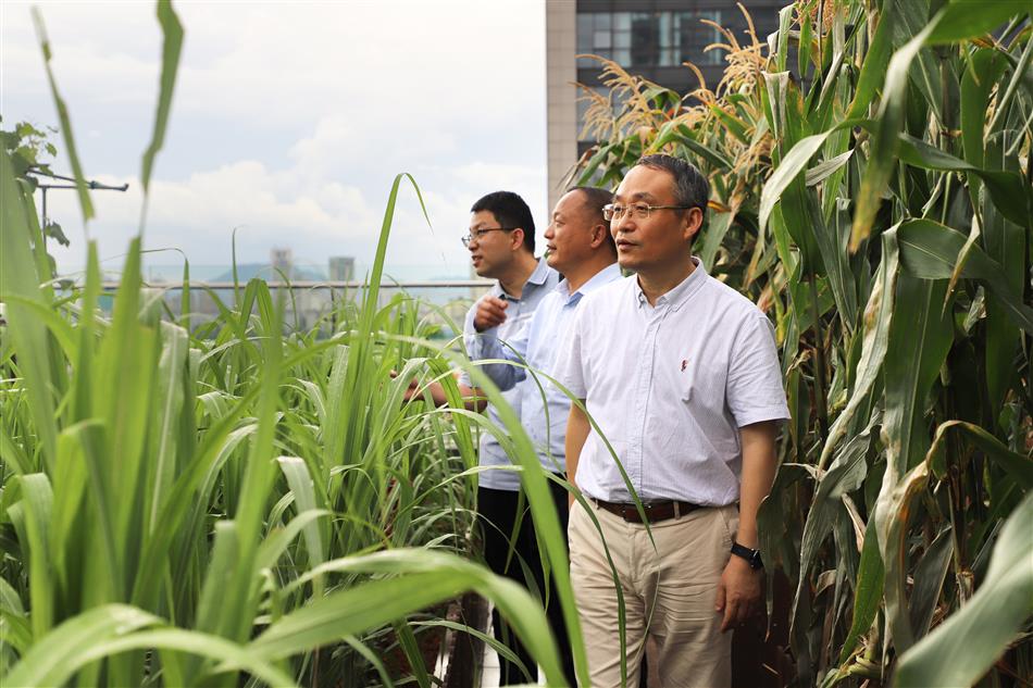 电子游戏平台app