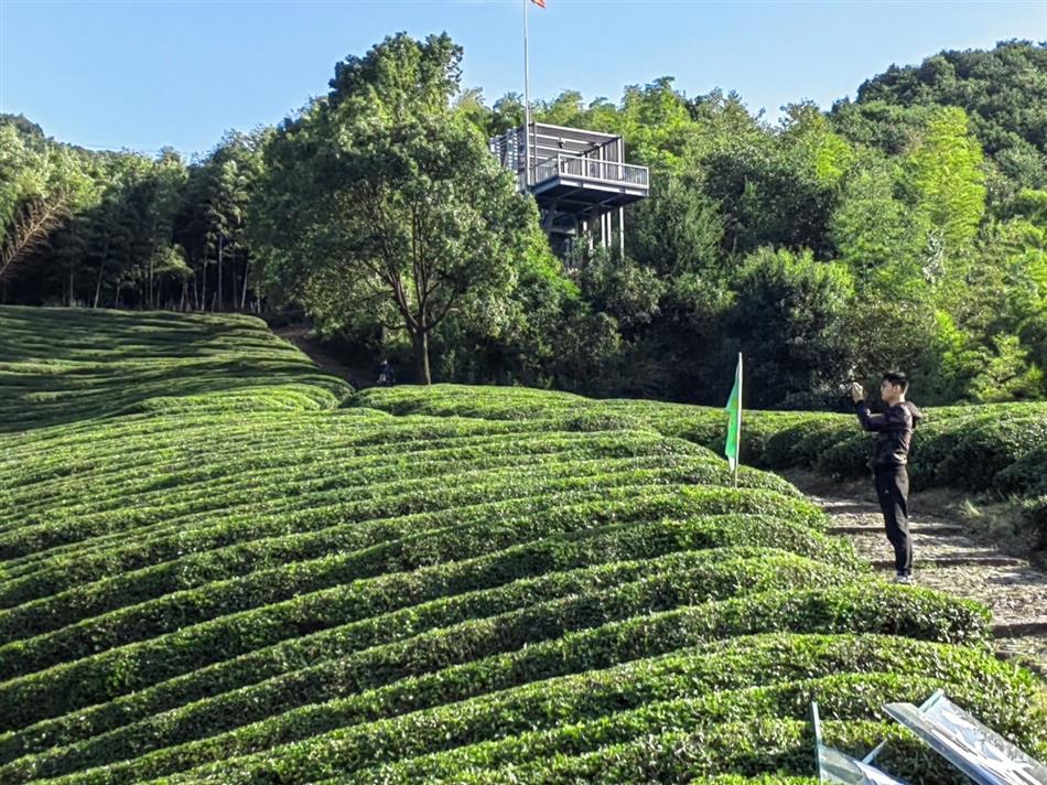 电子游戏平台app