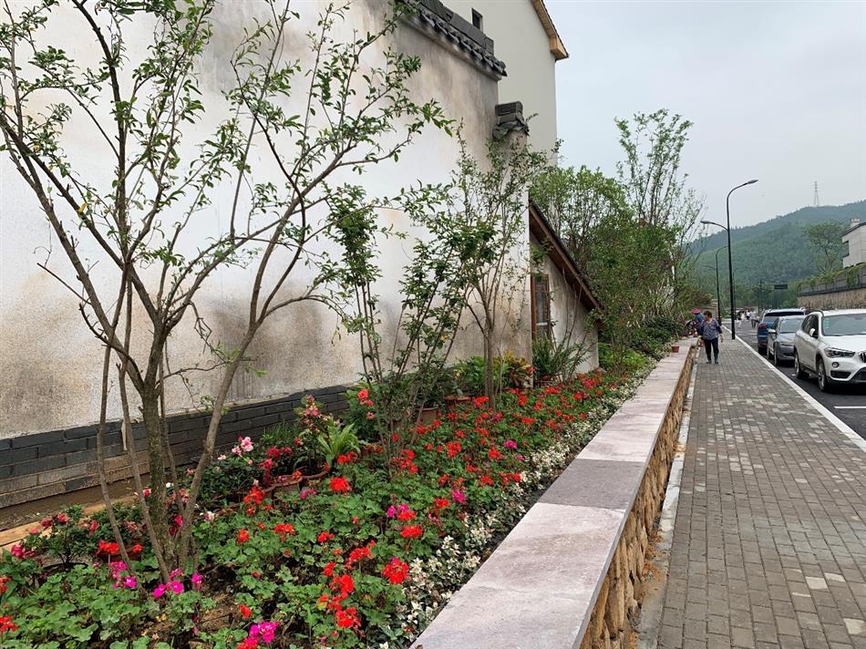 电子游戏平台app