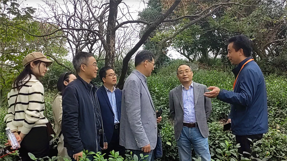 电子游戏平台app