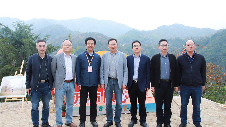 电子游戏平台app