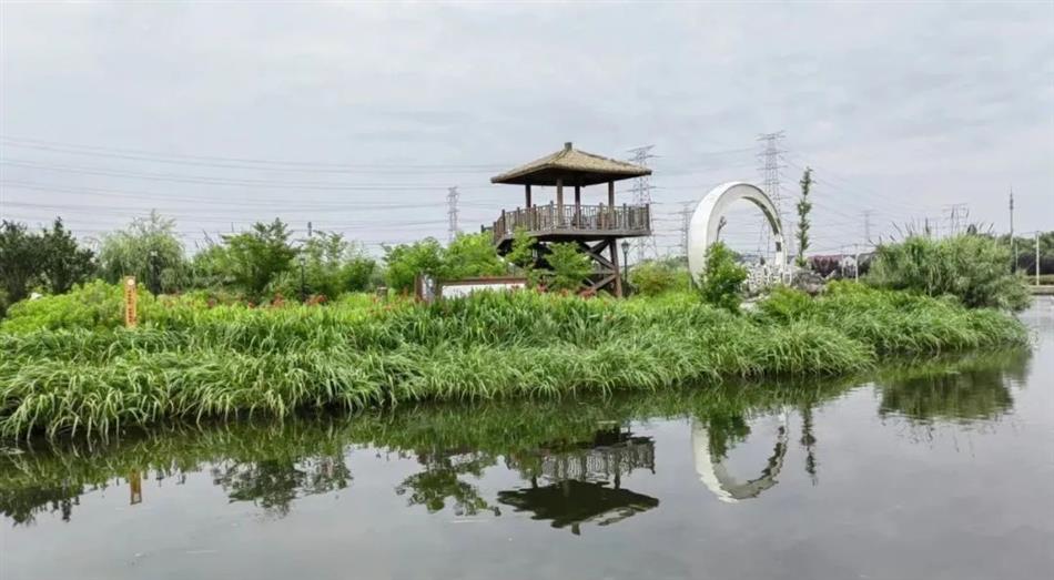 电子游戏平台app