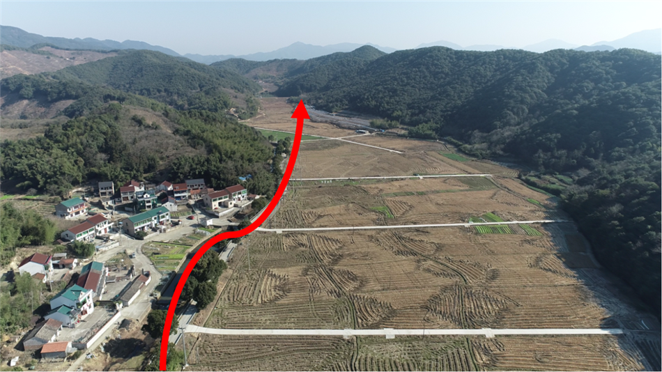 电子游戏平台app