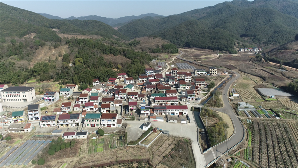 电子游戏平台app