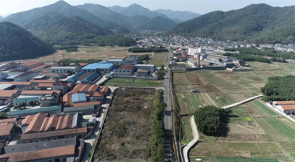 电子游戏平台app