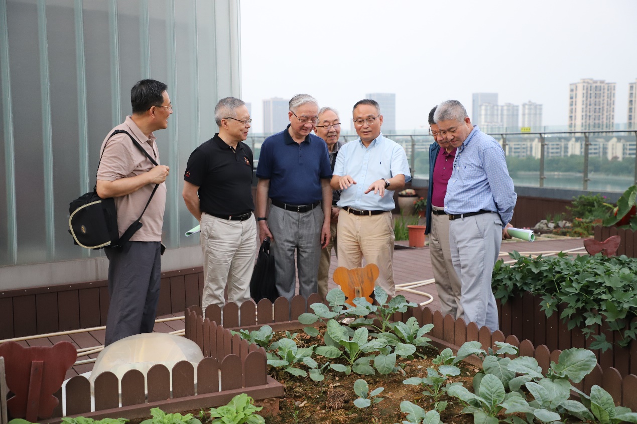 电子游戏平台app