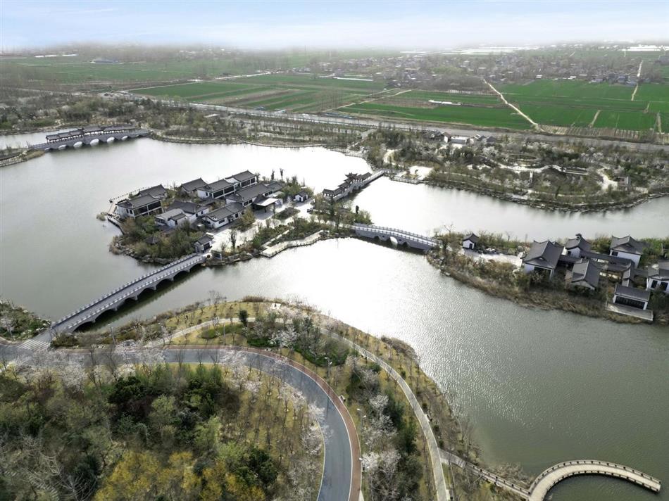 电子游戏平台app