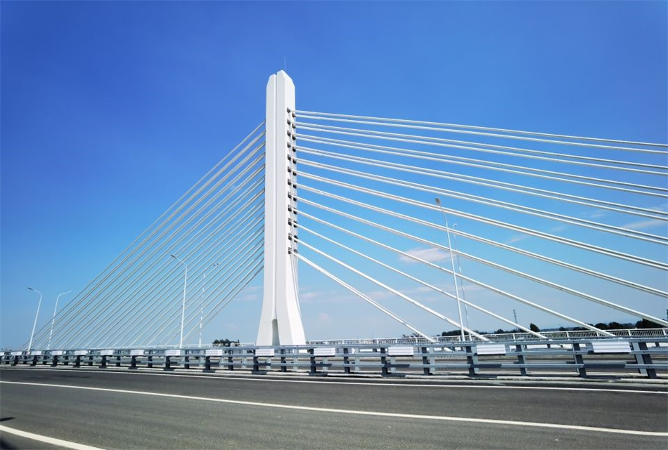 电子游戏平台app