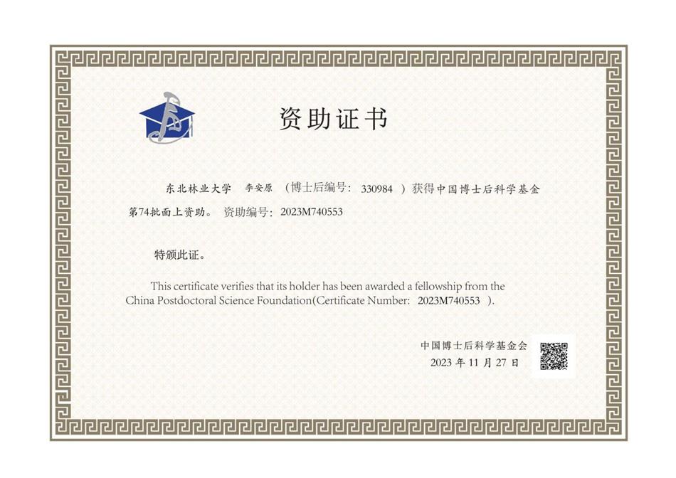 电子游戏平台app