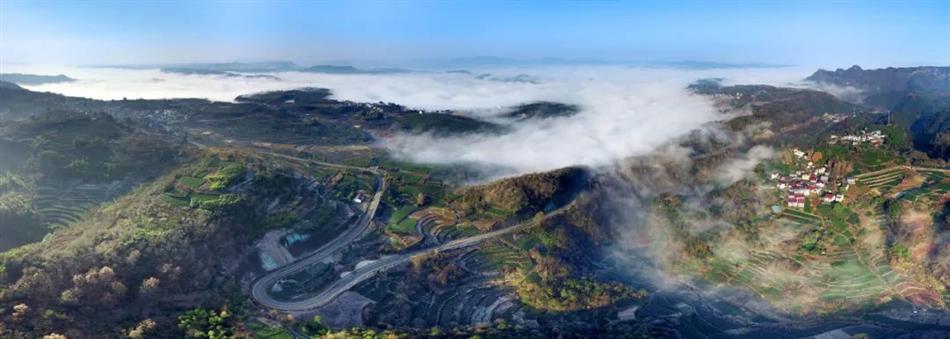 电子游戏平台app