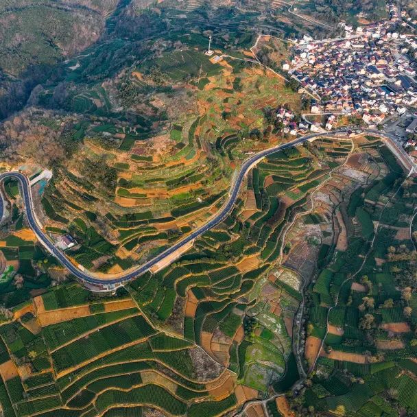 电子游戏平台app