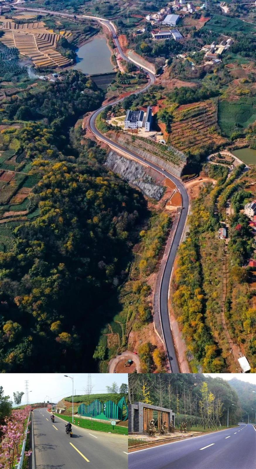 电子游戏平台app