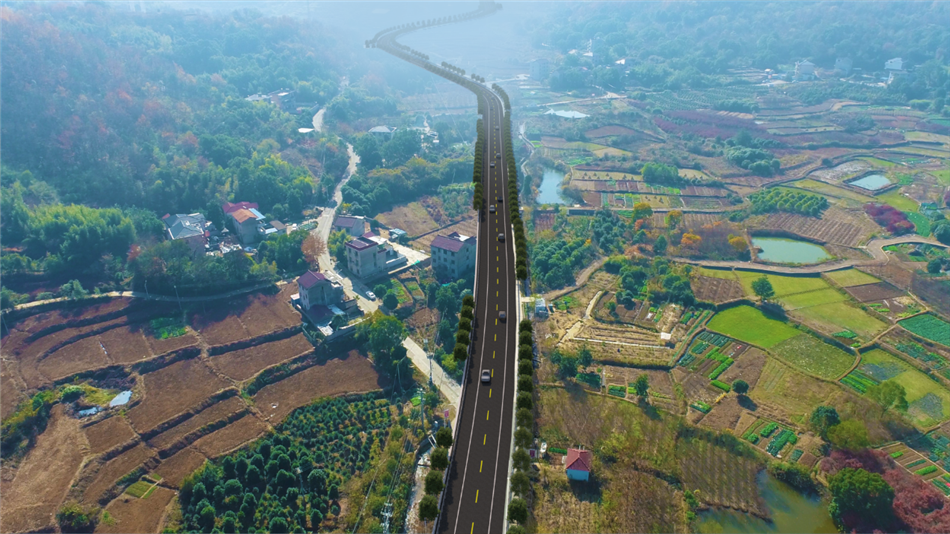 电子游戏平台app