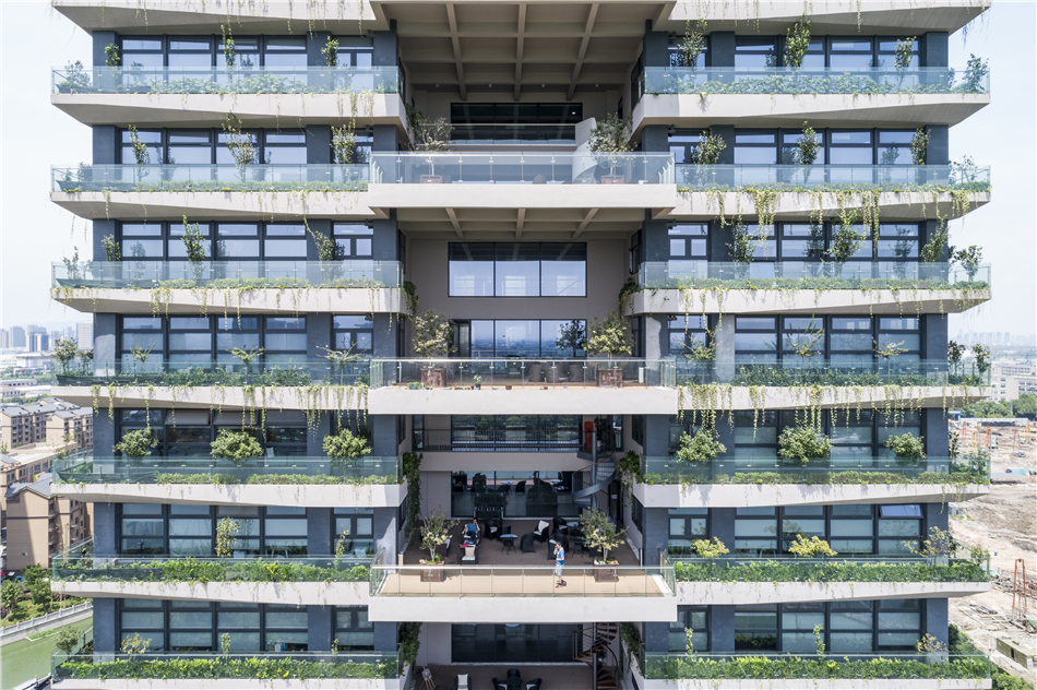 电子游戏平台app