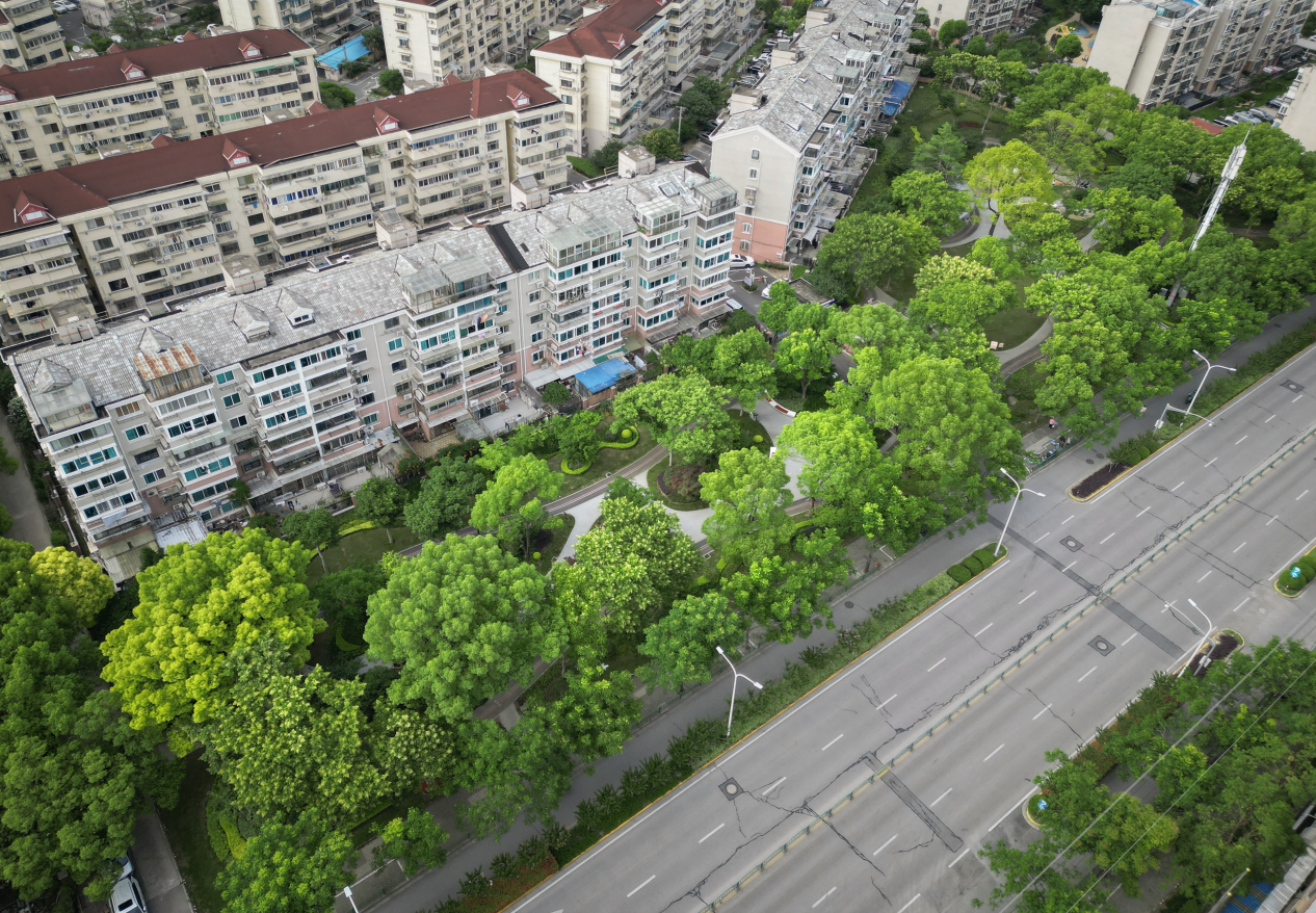 图片10.png 图片10.png